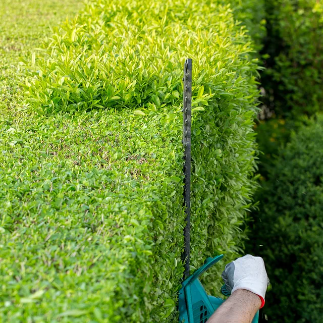 jardinería tratamiento