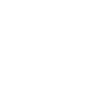 Rey Tejón Forestal Sl logo