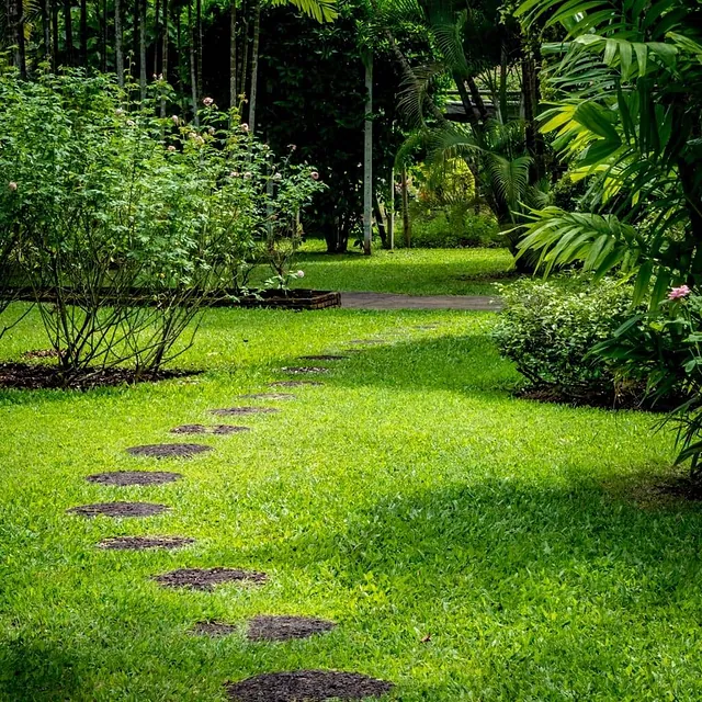 Rey Tejón Forestal Sl piso limpio